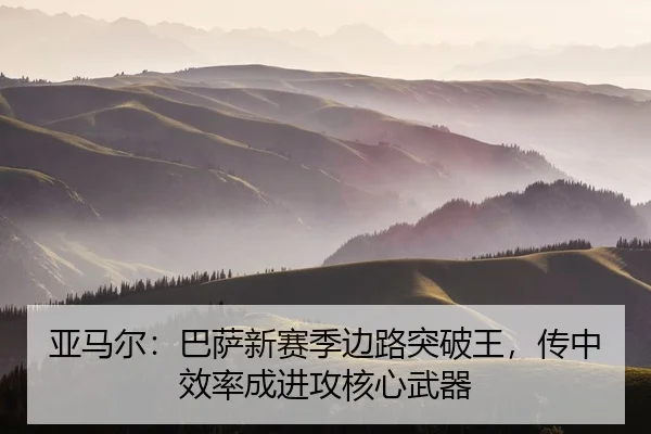ya-ma-er-ba-sa-xin-sai-ji-bian-lu-tu-po-wang-chuan-zhong-xiao-lv-cheng-jin-gong-he-xin-wu-qi-2-100.jpg