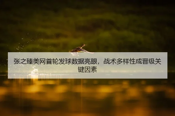 张之臻美网首轮发球数据亮眼，战术多样性成晋级关键因素