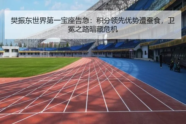 樊振东世界第一宝座告急：积分领先优势遭蚕食，卫冕之路暗藏危机