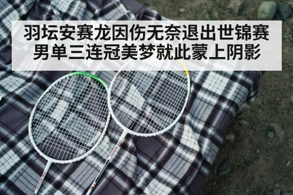 羽坛安赛龙因伤无奈退出世锦赛 男单三连冠美梦就此蒙上阴影