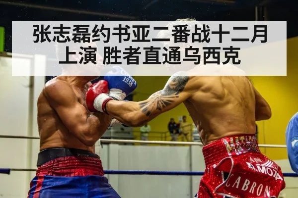 张志磊约书亚二番战十二月上演 胜者直通乌西克