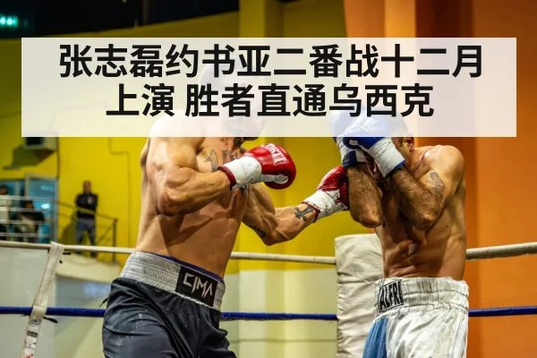 heavyweight boxer training